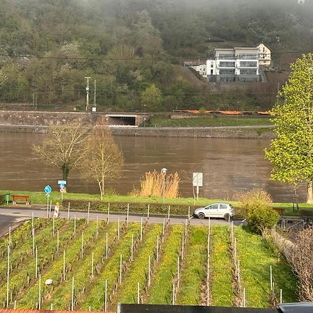 Hakans Moselblick Ferienwohnung Treis-Karden Exteriér fotografie